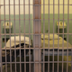 Illustration for article titled Meet Tyra Patterson, a Young Black Woman Serving Time for a Murder She Didn't Commit